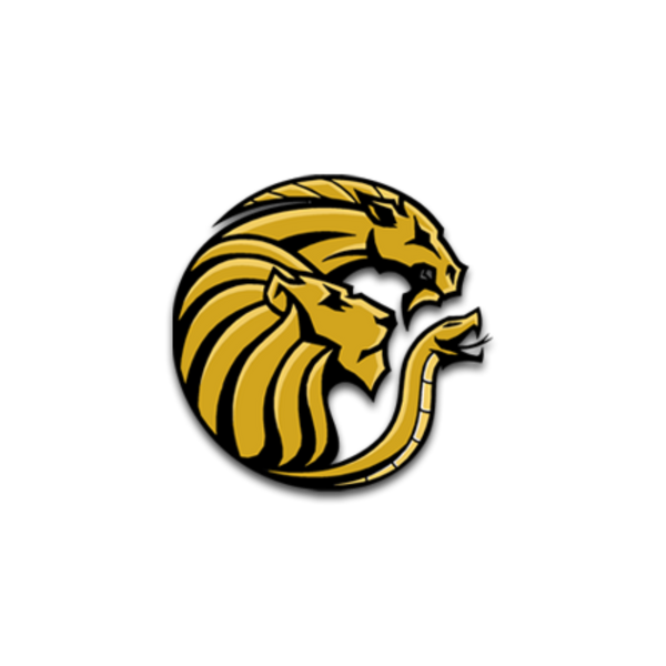 Elite Carpentry Restorations