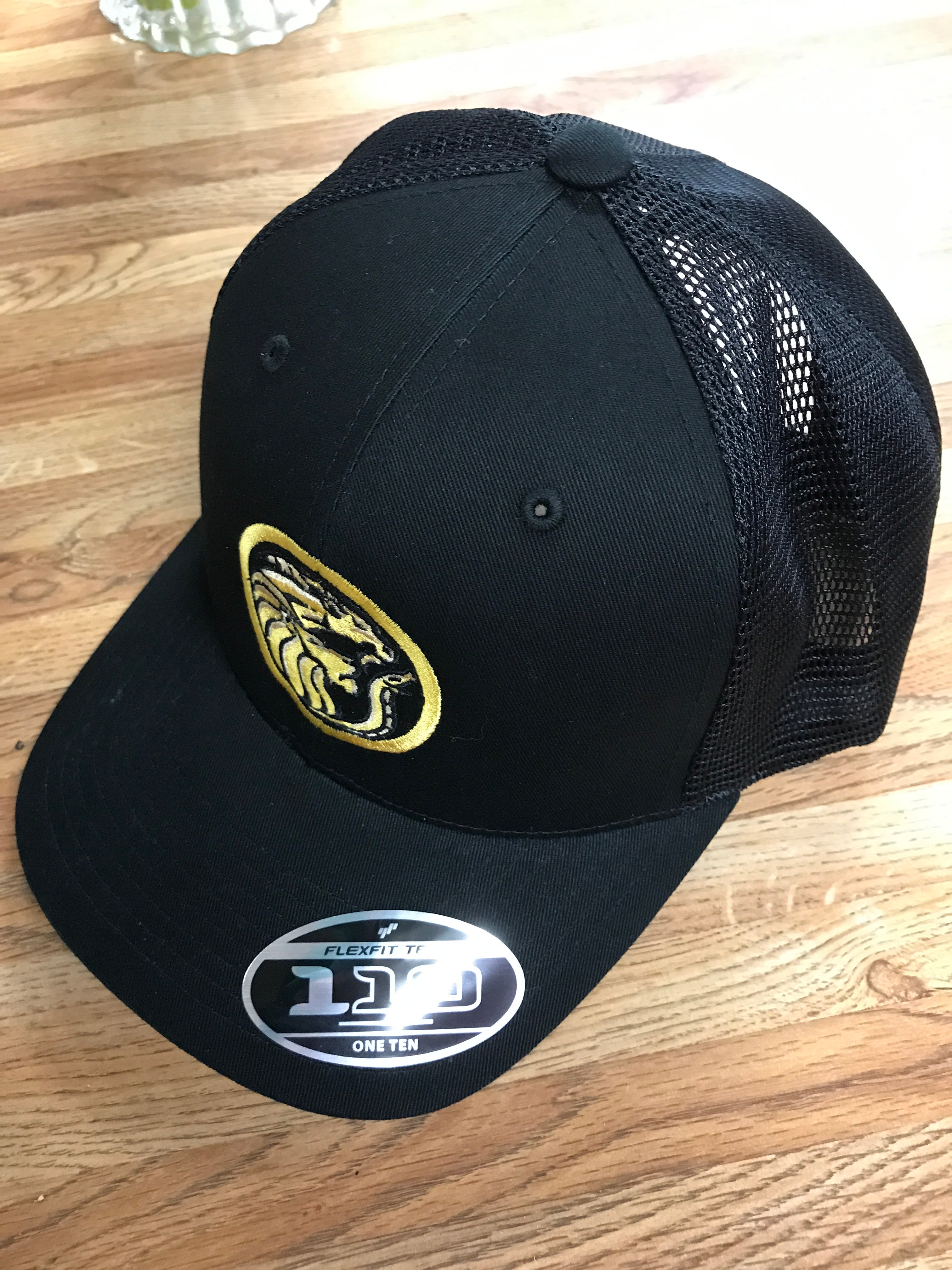 ECR logo hat